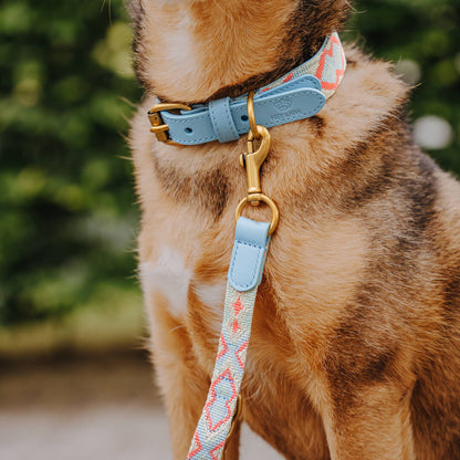 Hundehalsband Gepolstert Coral/Blau