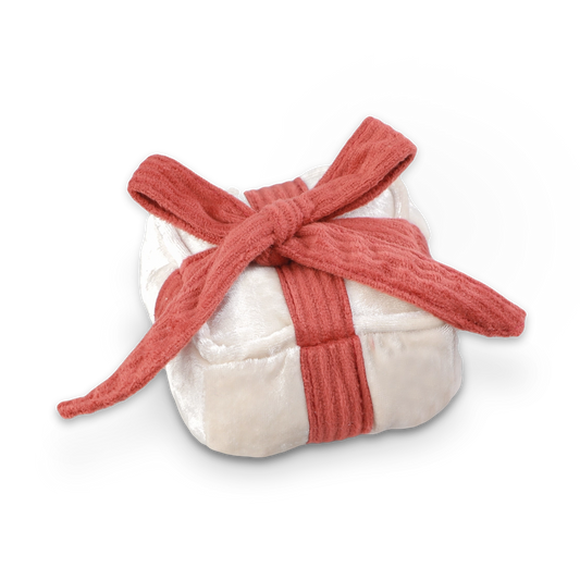 Hundespielzeug Holiday Box Snow