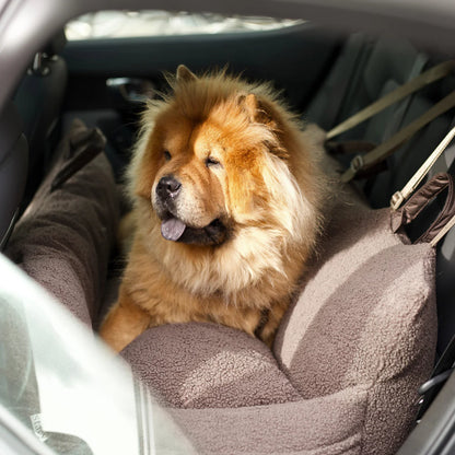 Hundeautositz Clara XXL Teddy Limited Edition