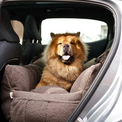 Hundeautositz Clara XXL Teddy Limited Edition