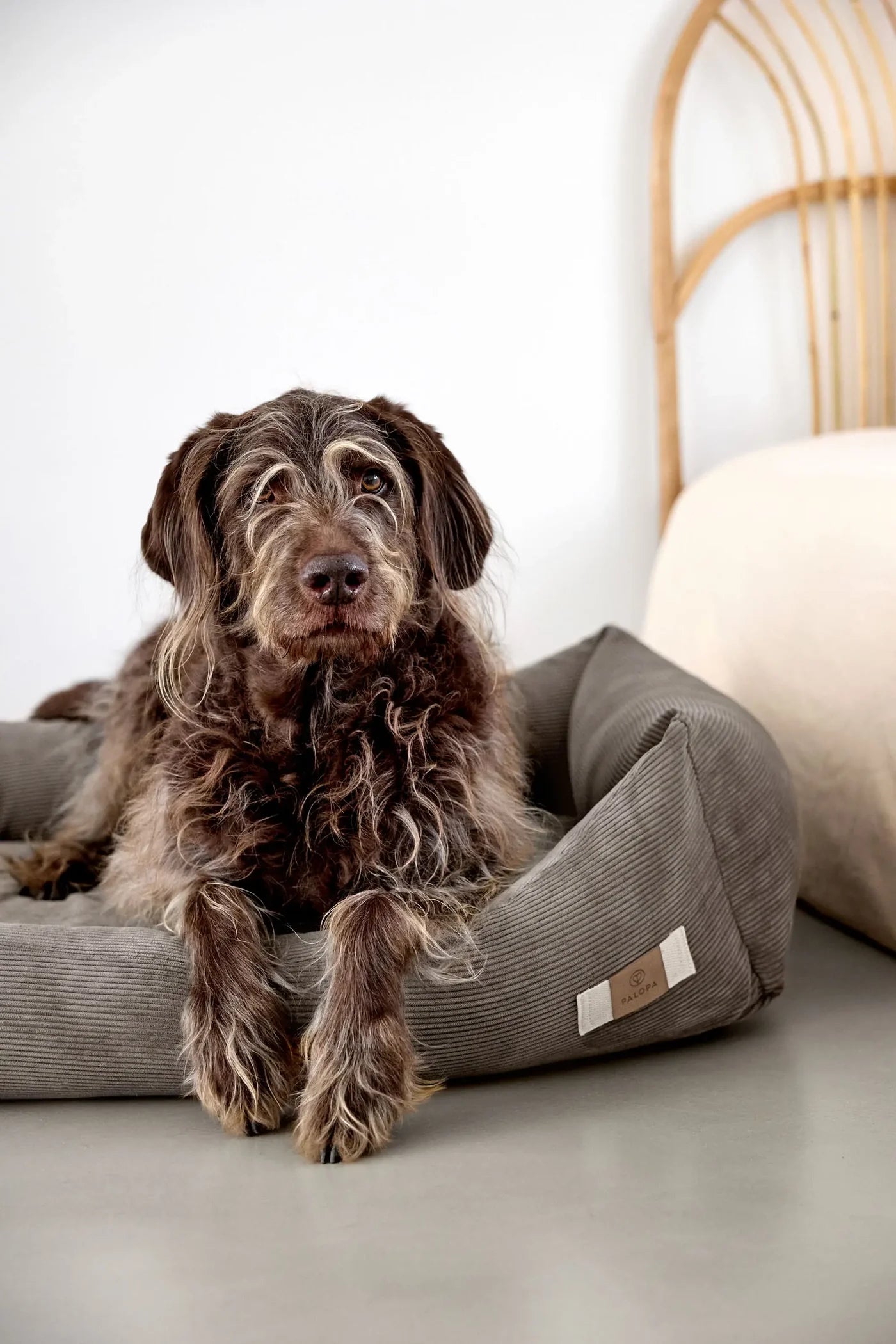 Hundebett Fred Cord Braun