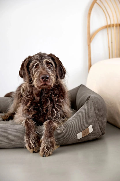 Hundebett Fred Cord Braun