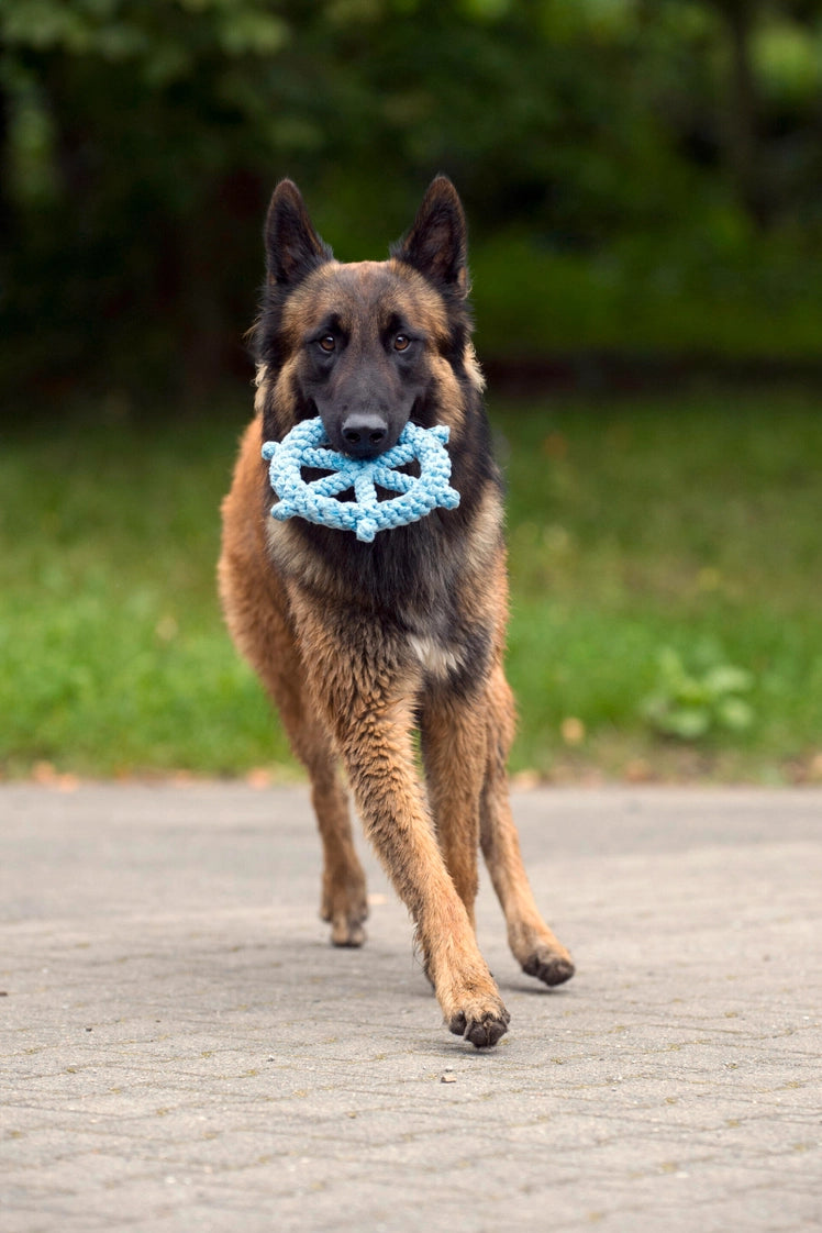 Hundespielzeug Skipper