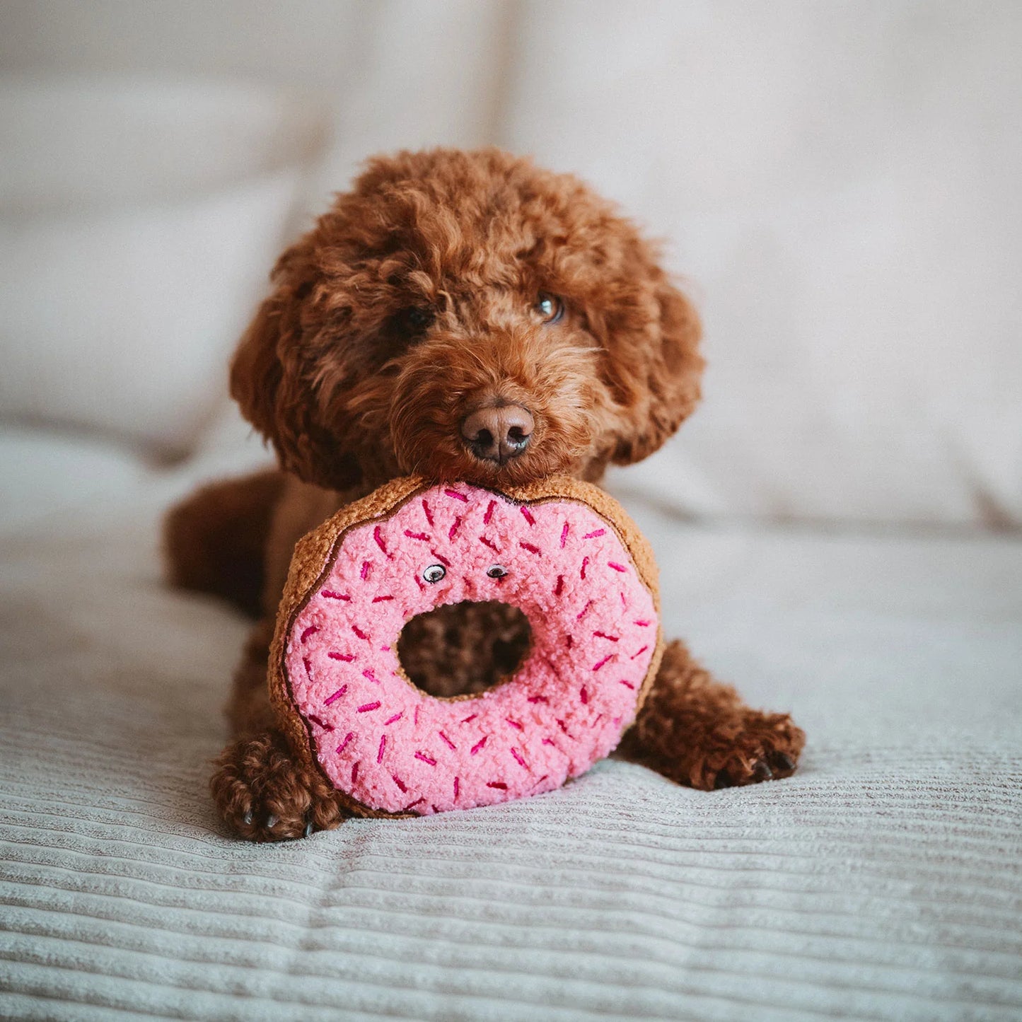 Hundespielzeug Belem Donut