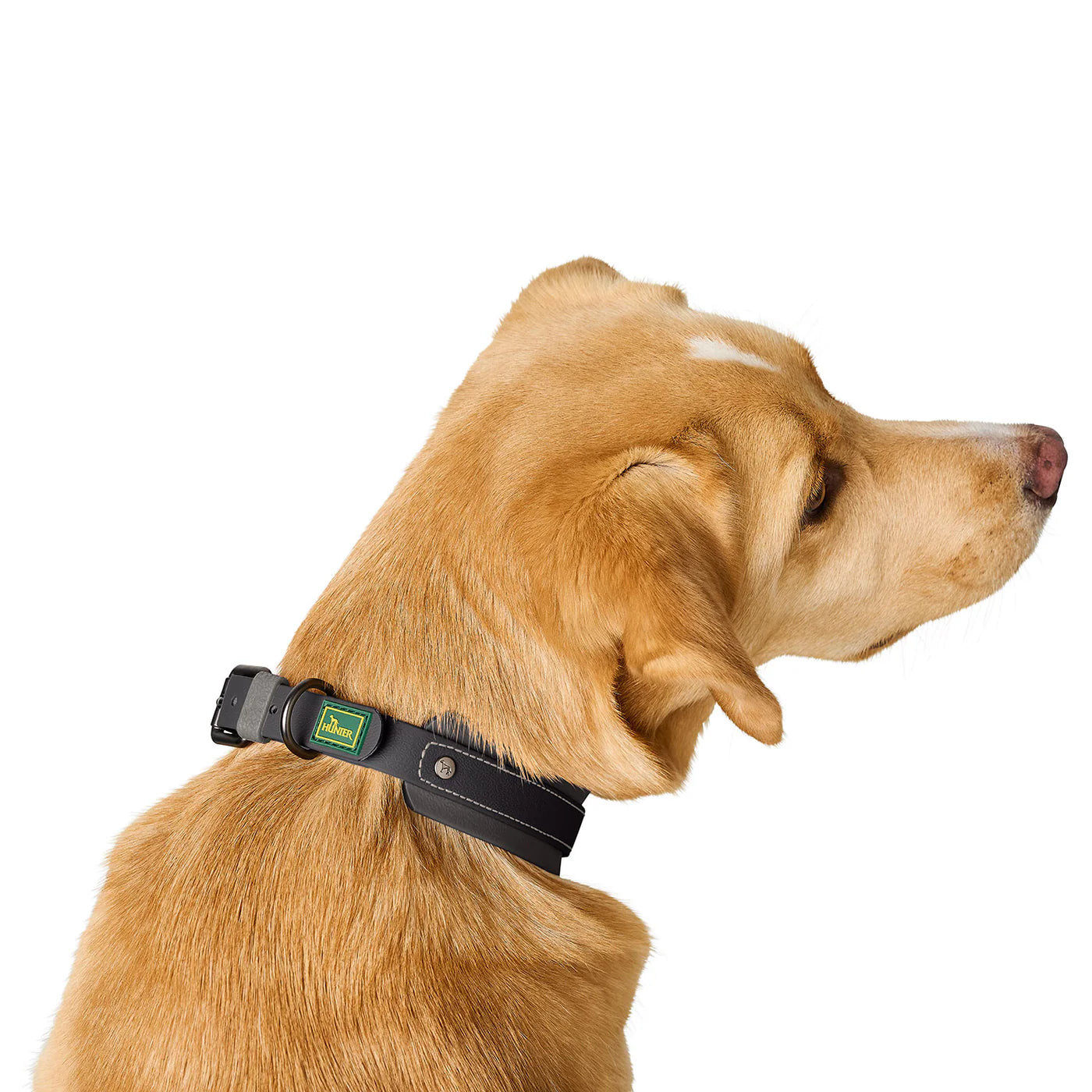 Halsband Havanna Schwarz