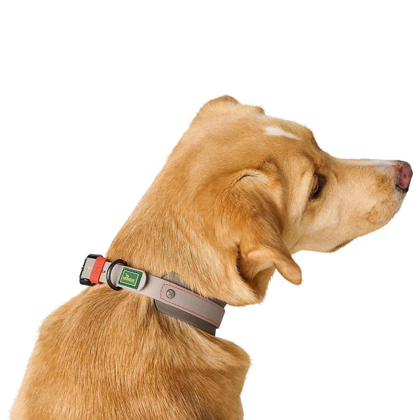 Halsband Havanna Greige