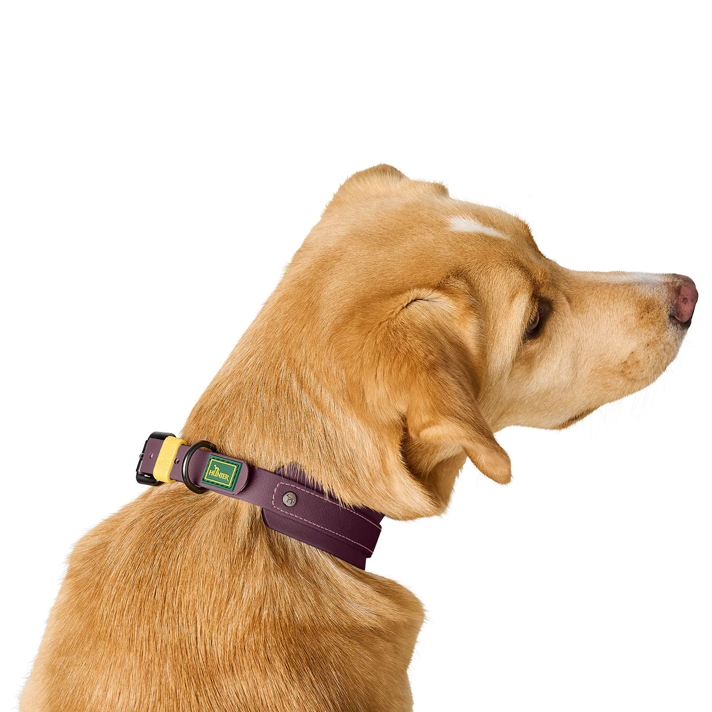 Halsband Havanna Brombeer