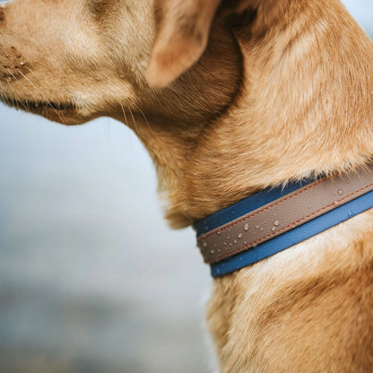 Halsband Havanna Petrol/Rauchblau