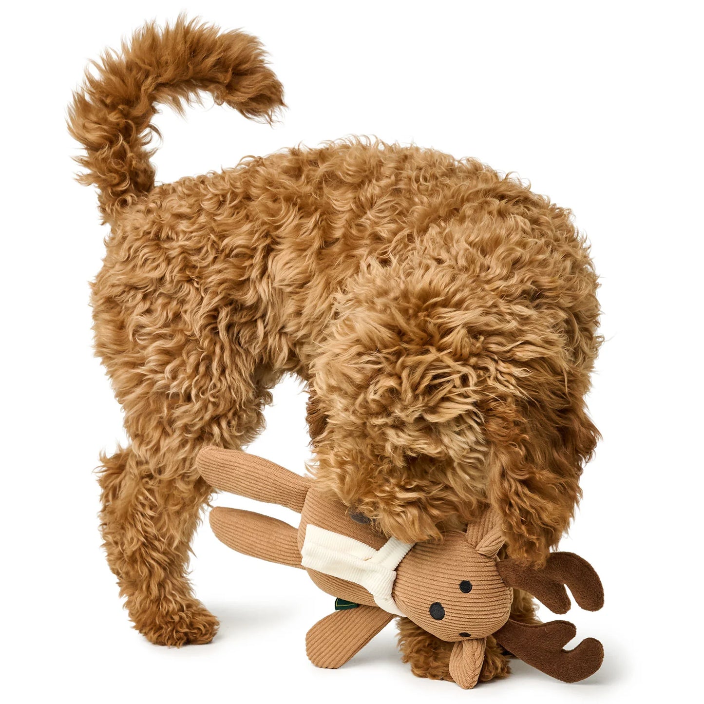 Hundespielzeug Stika Rentier