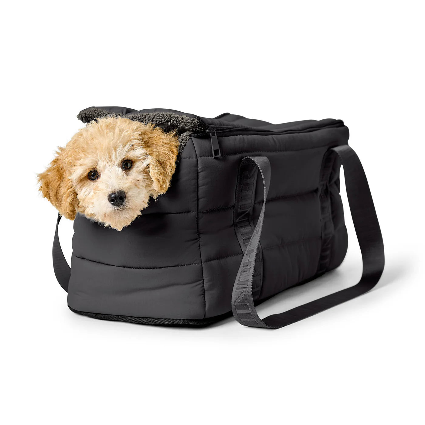 2-in-1 Hundetragetasche Seoul Schwarz