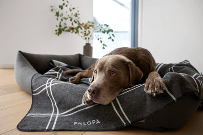 Hundebett Fred Anthrazit