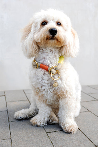 Hundehalsband Slim Mila Natur Neon Orange