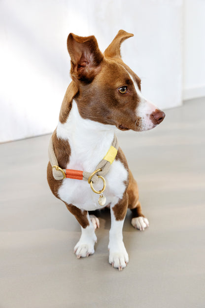 Hundehalsband Slim Mila Natur Neon Orange