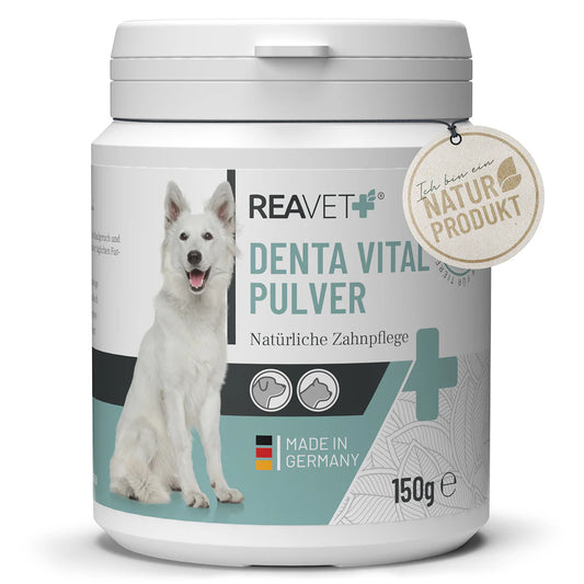 Denta Vital Pulver 150g