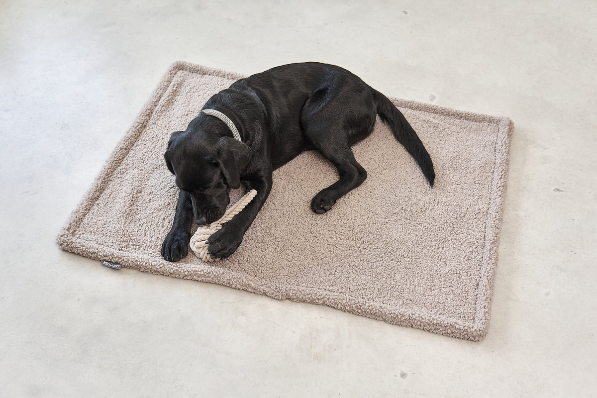 MIACARA Hundedecke Senso Schokolade – Bouclé-Decke im Wohnbereich