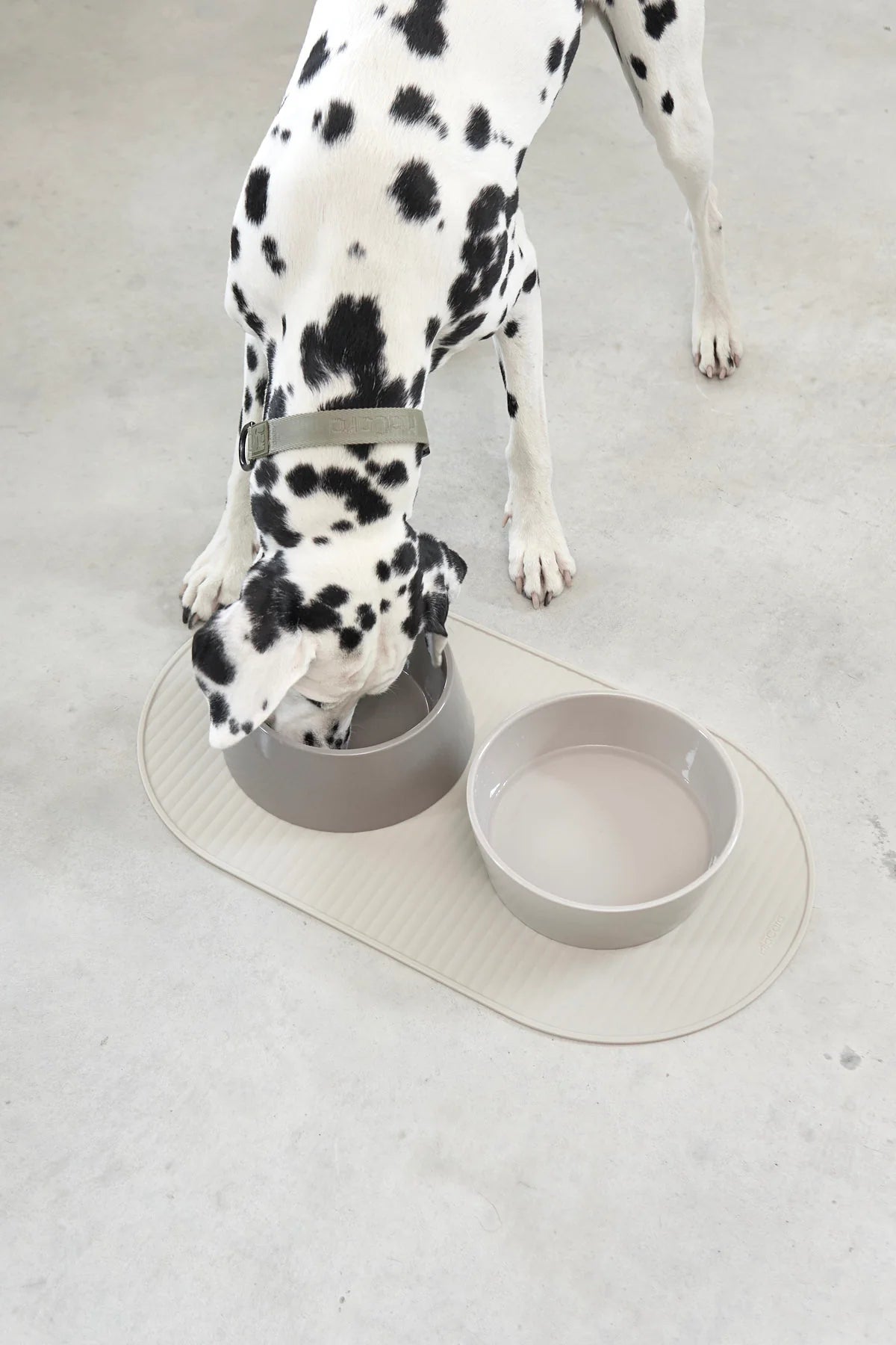 Hundenapfmatte Pasto Grolive