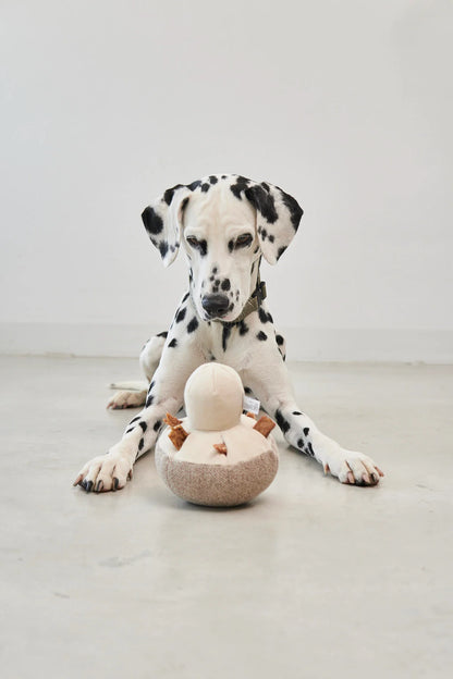 Schnüffelspielzeug Foresta Pilz