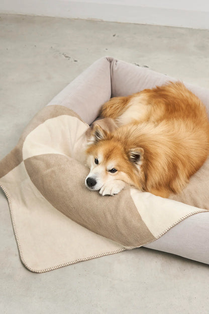 Hundedecke Ponte Nougat