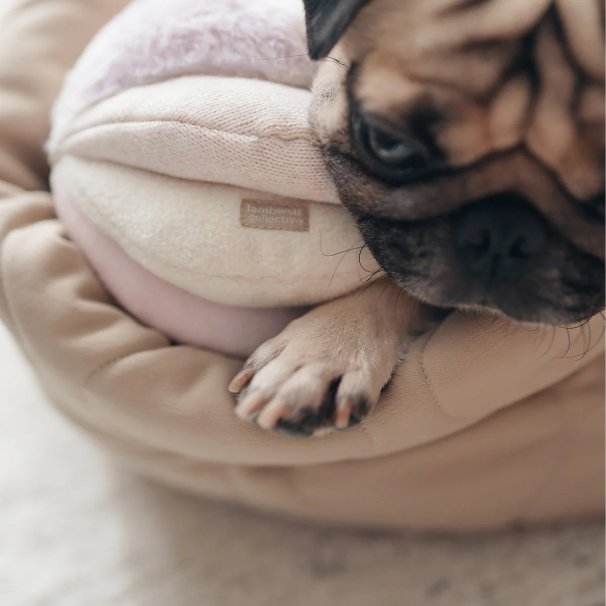 Schnüffelball Toto Rosa