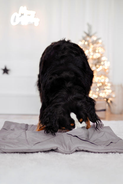 Schnüffelteppich Square