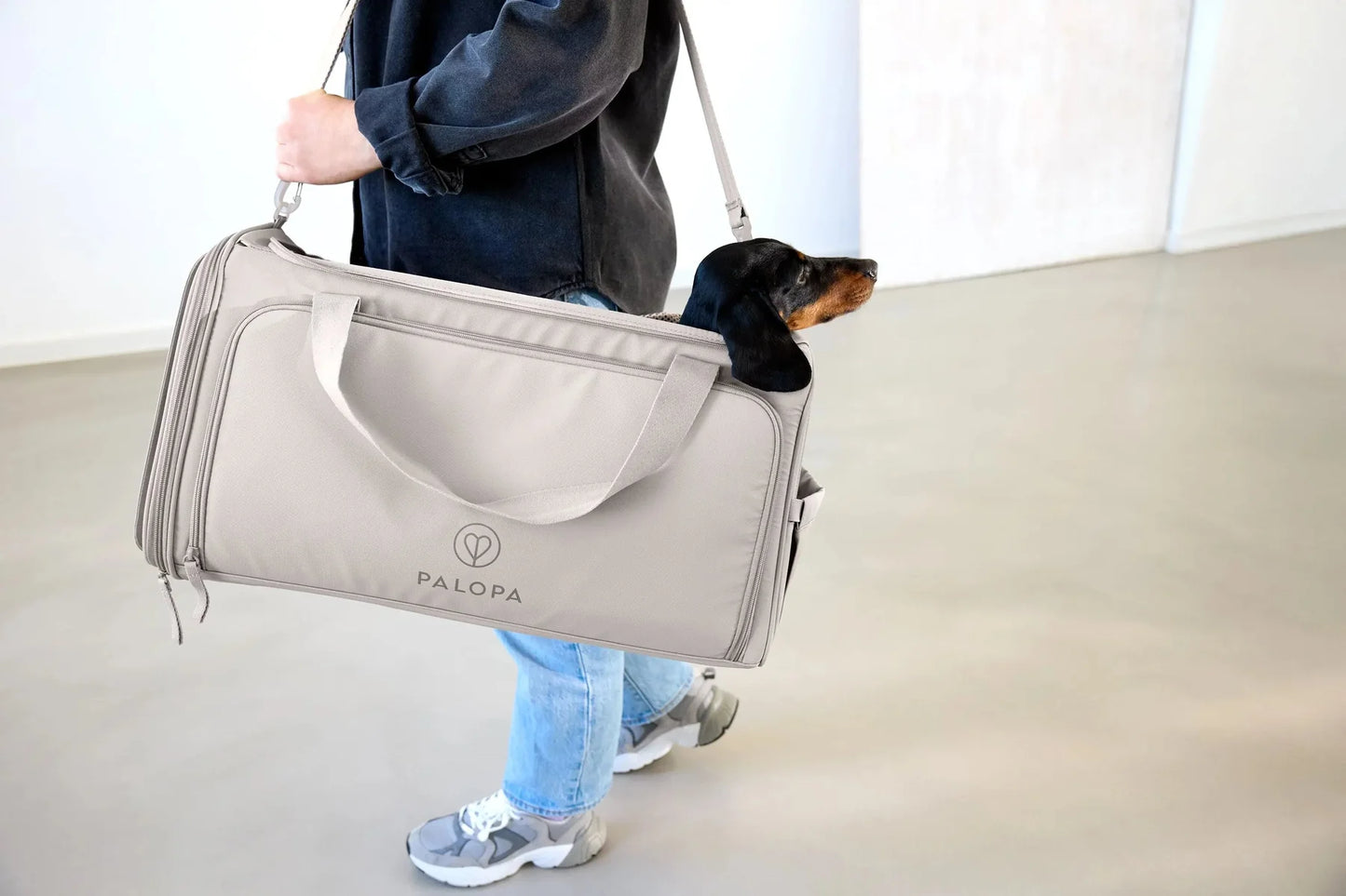 Hundetragetasche Benno Taupe