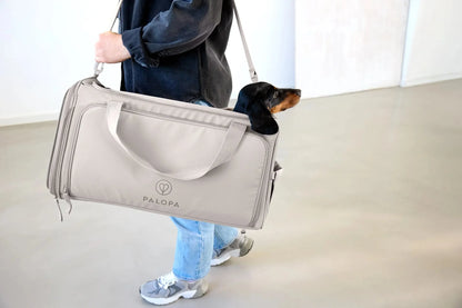 Hundetragetasche Benno Taupe