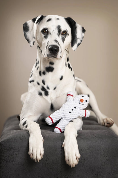 Hundespielzeug Shawn der Schneemann