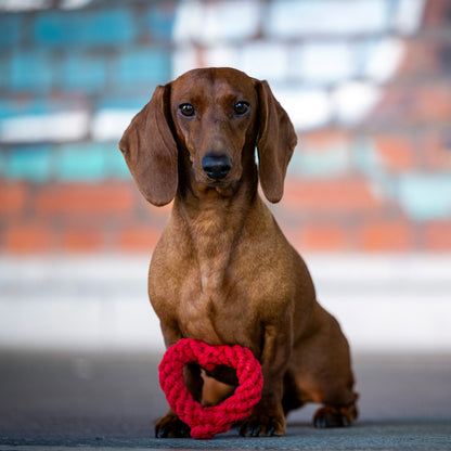 Hundespielzeug Hertha Heart