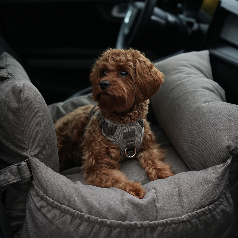 3-in-1 Hundeautositz und Reisebett Lara 2.0 Taupe