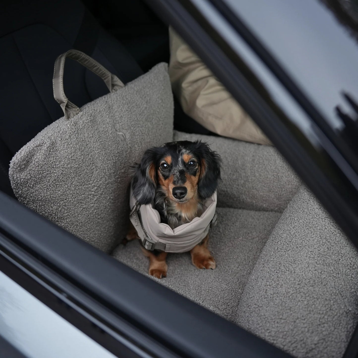3-in-1 Hundeautositz und Reisebett Lara Teddy 2.0 Taupe
