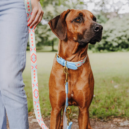 Hundehalsband Gepolstert Coral/Blau