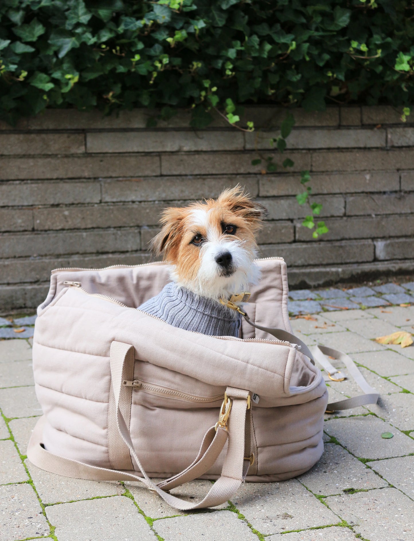 Hundetragetasche Rio Dark Sand