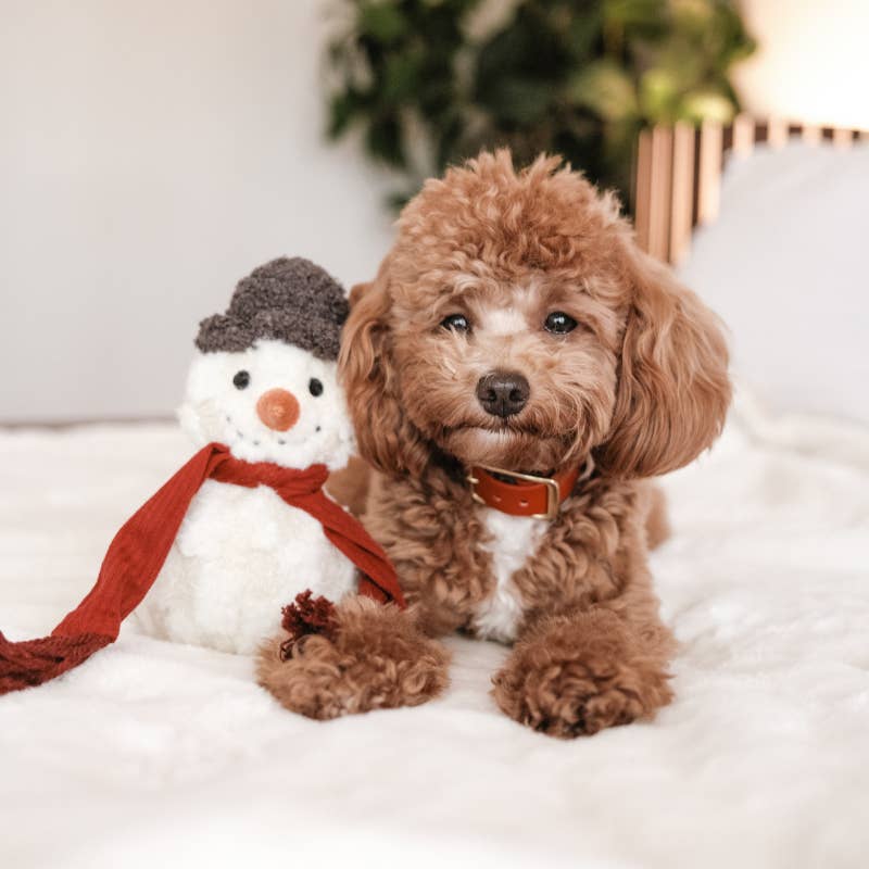 Hundespielzeug Schneemann