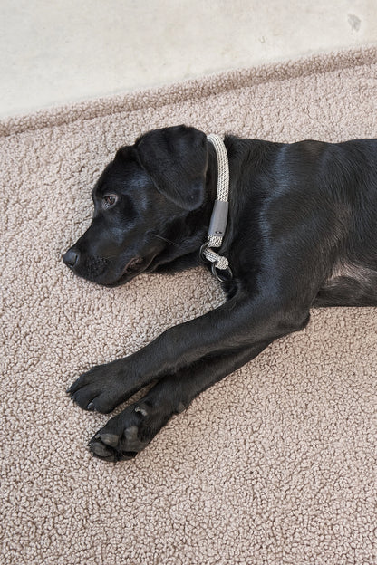 Hundedecke Senso Greige