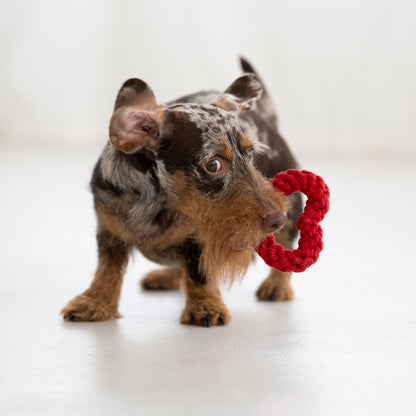 Hundespielzeug Hertha Heart