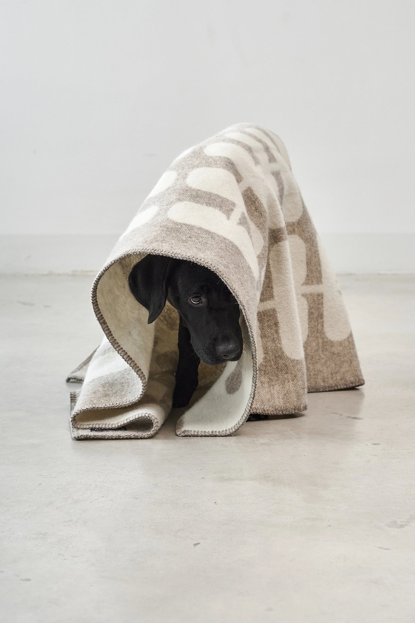 Hundedecke Flora Cappuccino/Natur