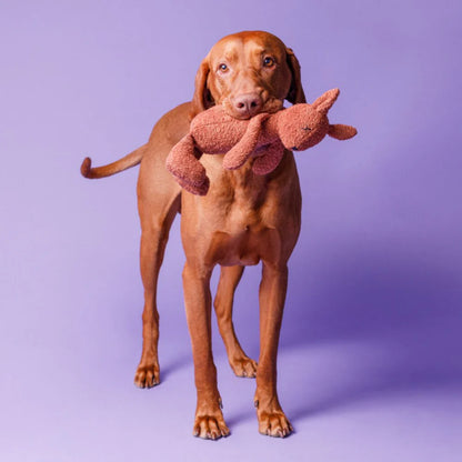 Hundespielzeug Lea das Eichhörnchen