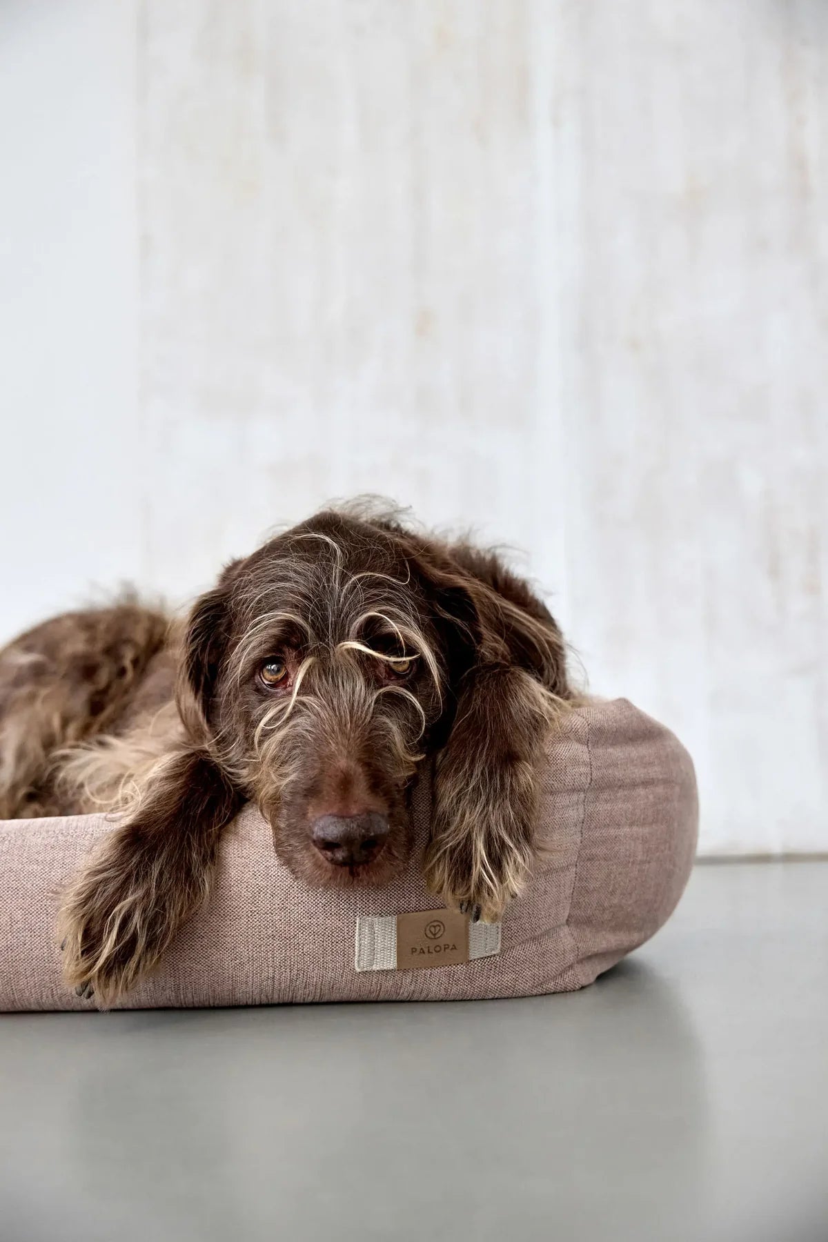 Hundebett Fred Rose