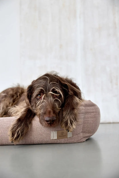 Hundebett Fred Rose