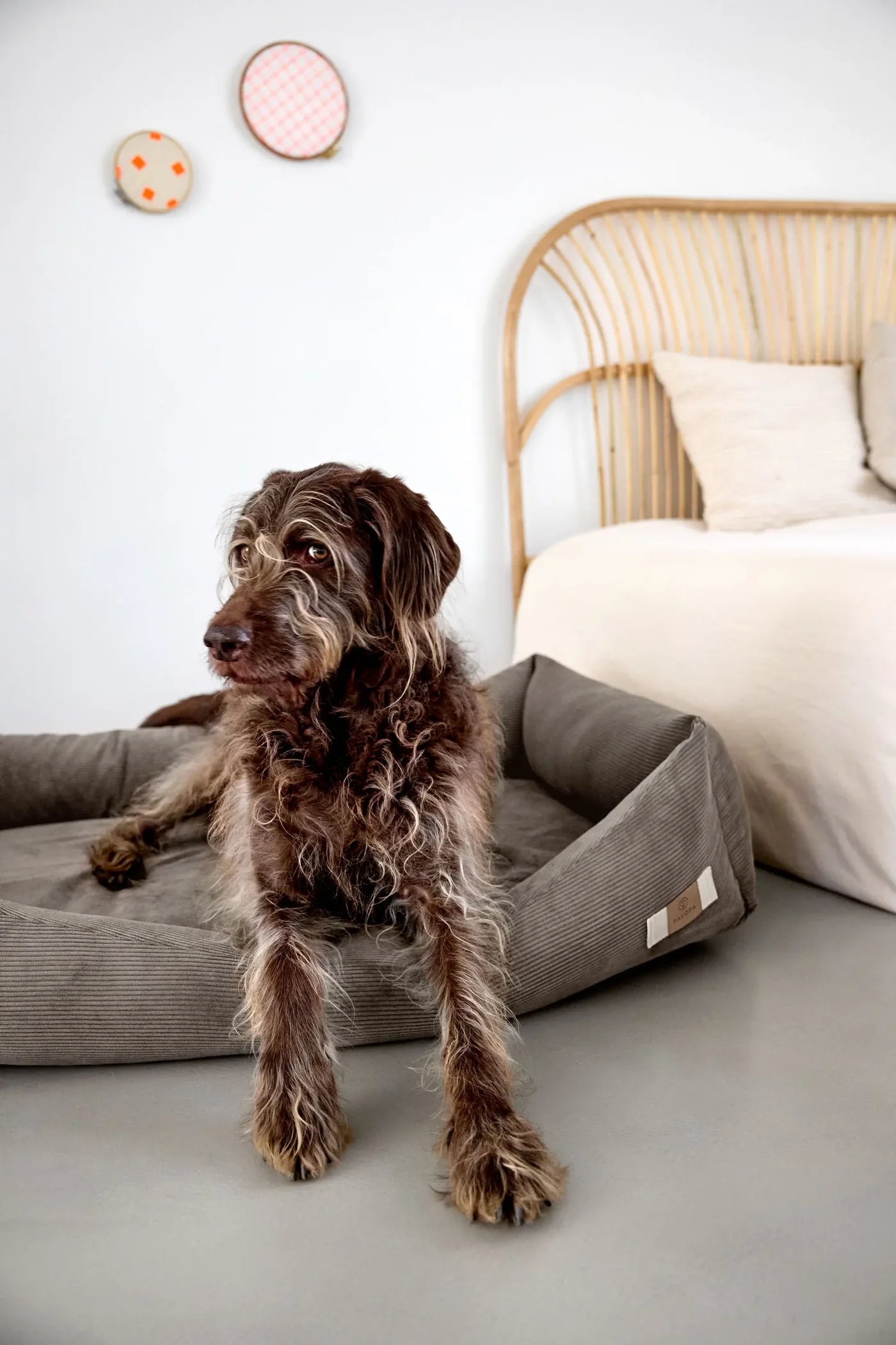 Hundebett Fred Cord Braun