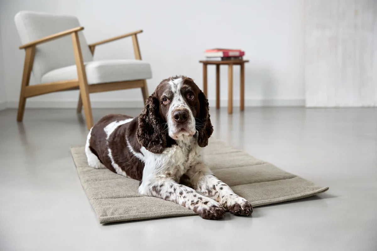 Hundematte Alma Grau