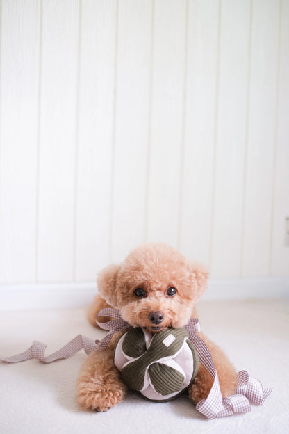 Schnüffelball Monti Kord Kiefer