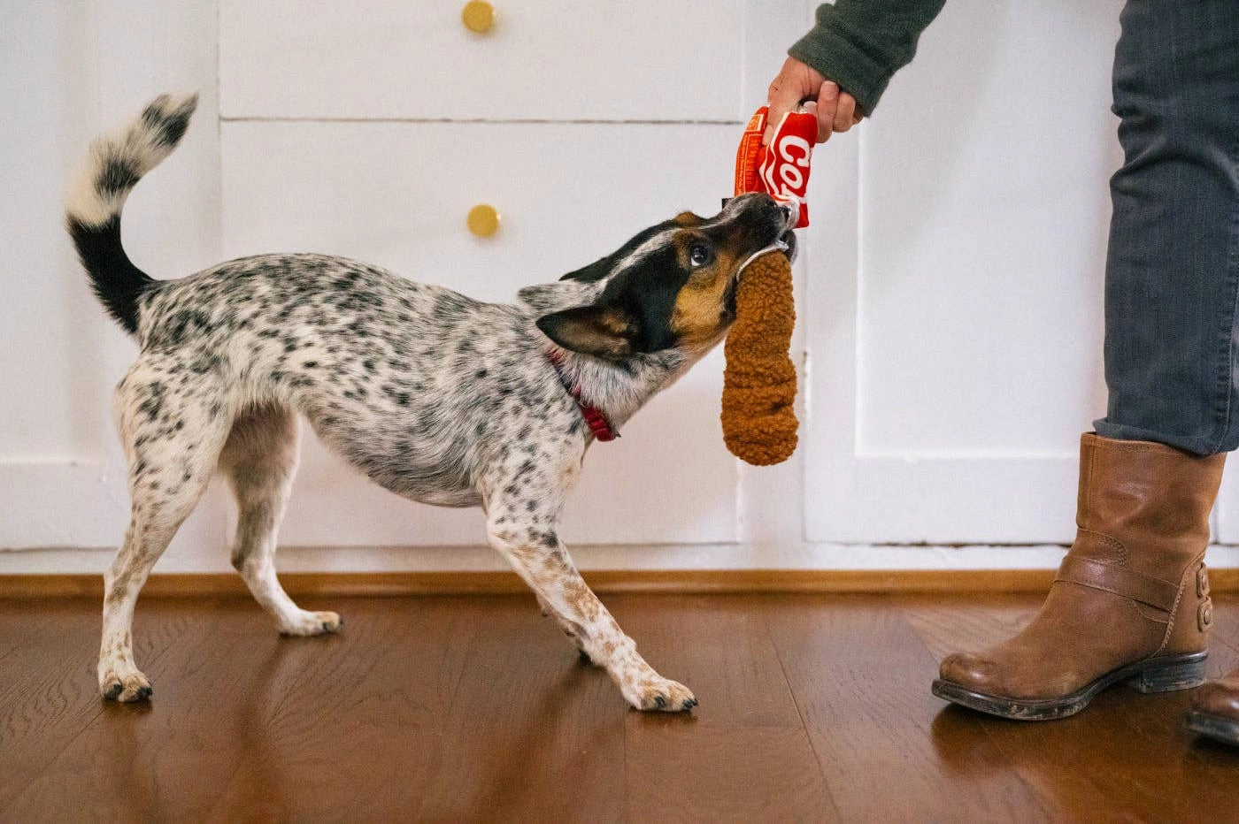 Hundespielzeug Good Boy Cola