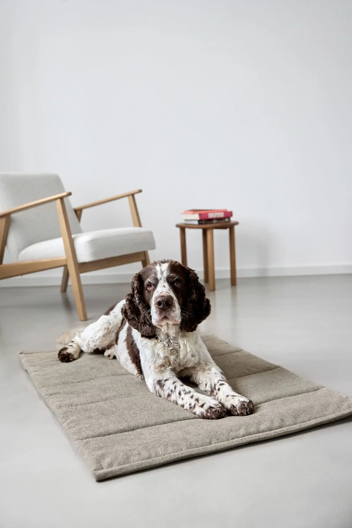 Hundematte Alma Grau