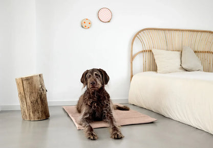 Hundematte Alma Rosa