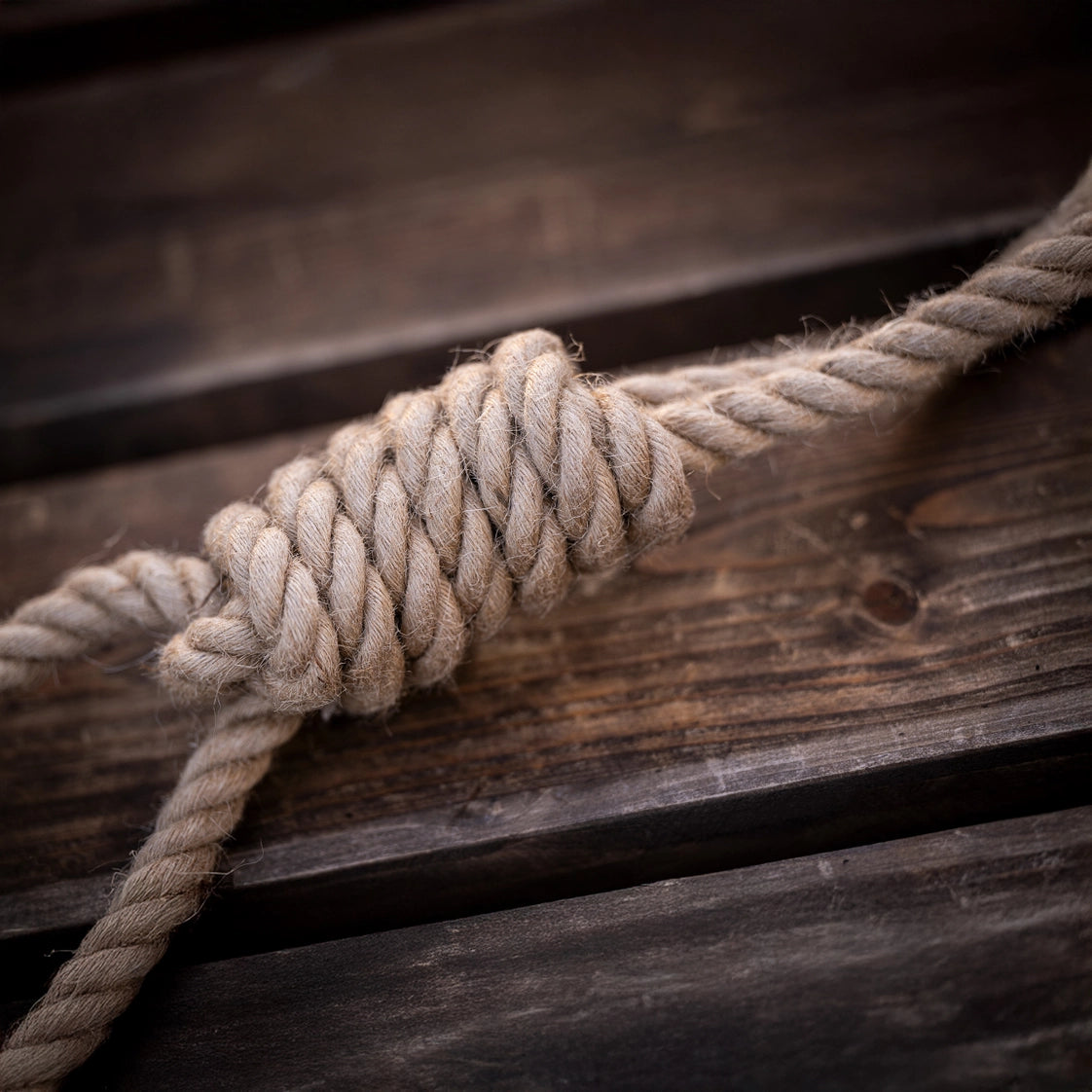 Hundespielzeug Zergel Rope Rebel