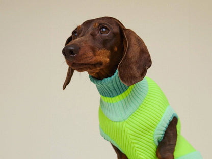 Hundepullover The Glow Jumper Neon Matcha