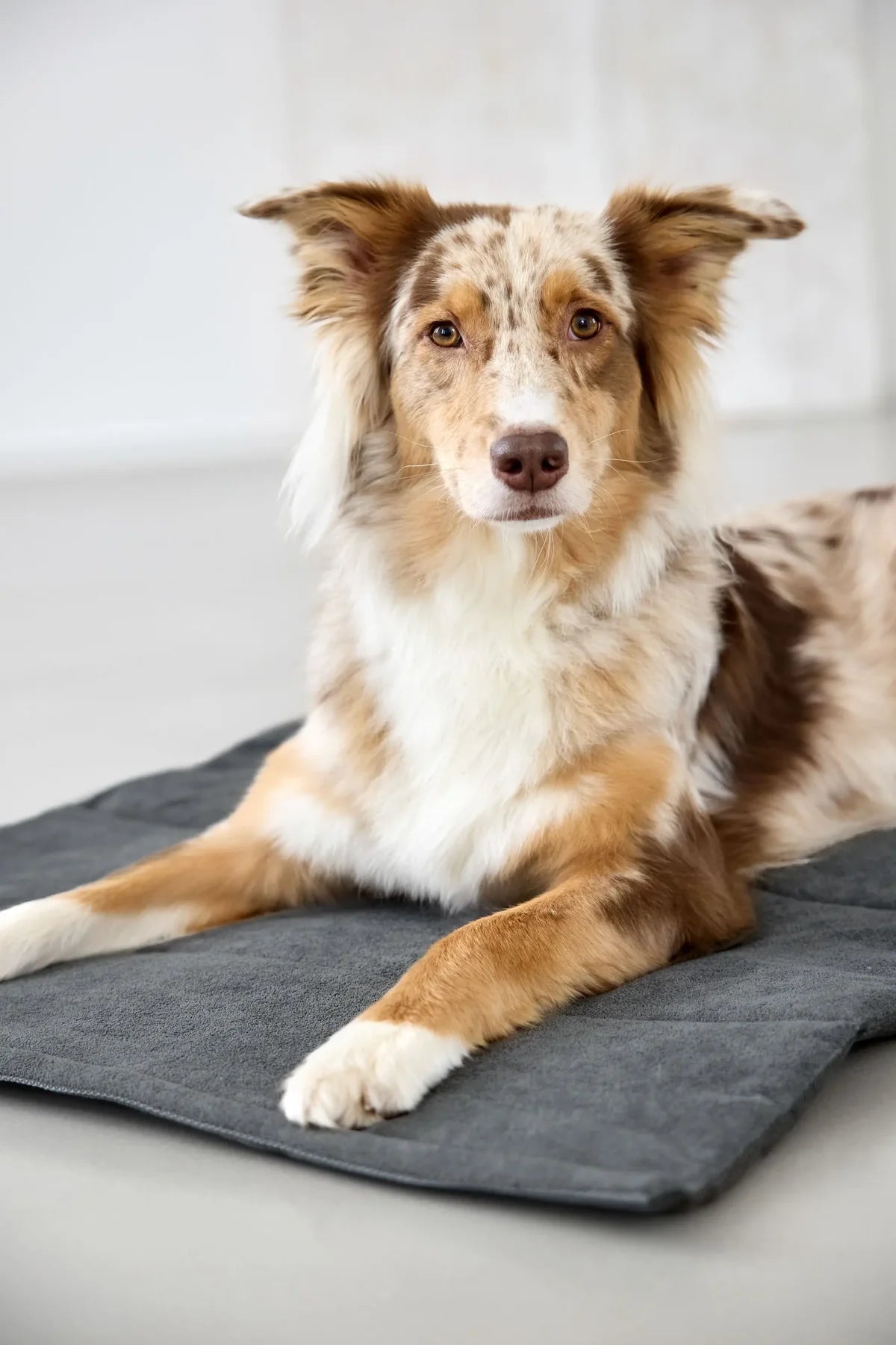 Hundematte Alma Dunkelgrau