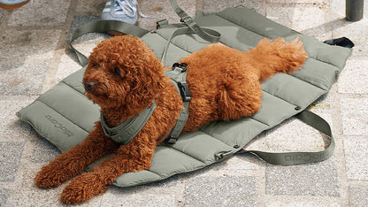 Strada travelBed Grolive
