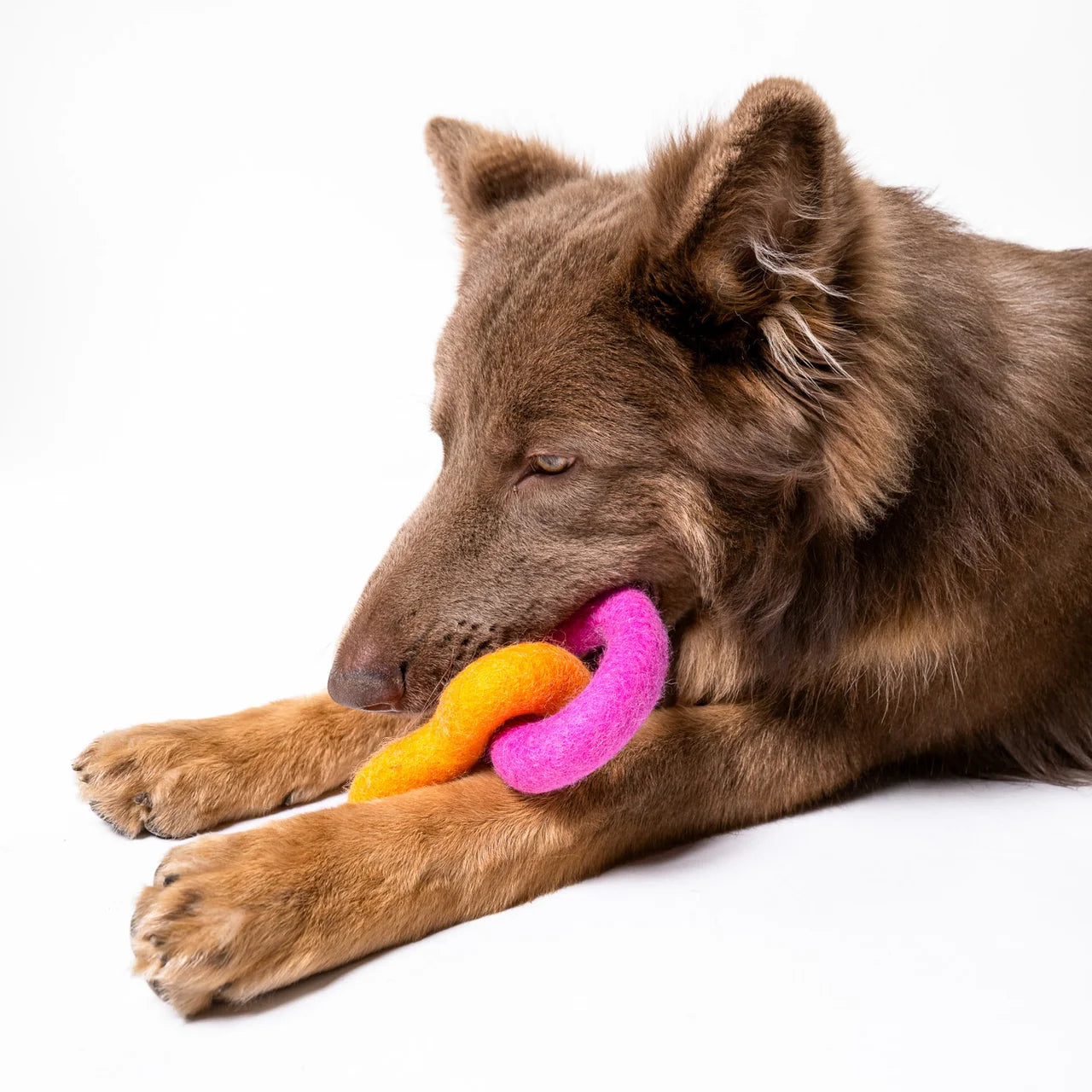 Filz Hundespielzeug Herzen Pink/Orange